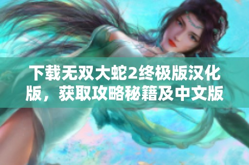 下载无双大蛇2终极版汉化版，获取攻略秘籍及中文版下载信息