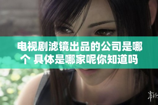 电视剧滤镜出品的公司是哪个 具体是哪家呢你知道吗