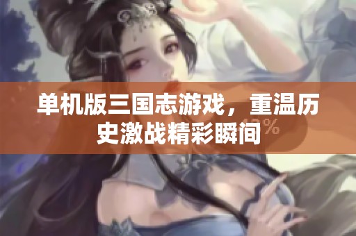 单机版三国志游戏，重温历史激战精彩瞬间