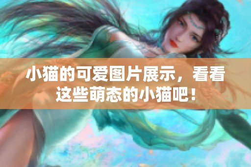 小猫的可爱图片展示，看看这些萌态的小猫吧！