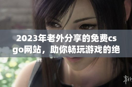 2023年老外分享的免费csgo网站，助你畅玩游戏的绝佳选择