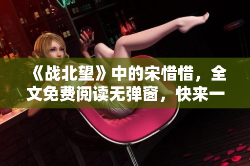 《战北望》中的宋惜惜，全文免费阅读无弹窗，快来一起探索！