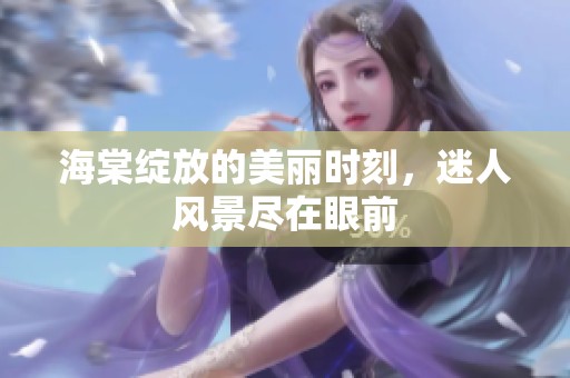 海棠绽放的美丽时刻，迷人风景尽在眼前