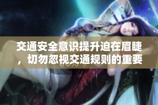 交通安全意识提升迫在眉睫，切勿忽视交通规则的重要性