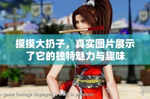 摸摸大扔子，真实图片展示了它的独特魅力与趣味