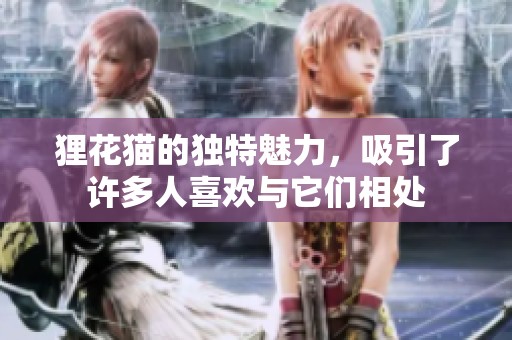 狸花猫的独特魅力，吸引了许多人喜欢与它们相处