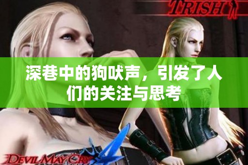 深巷中的狗吠声，引发了人们的关注与思考