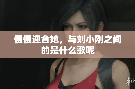 慢慢迎合她，与刘小刚之间的是什么歌呢