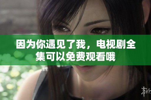 因为你遇见了我，电视剧全集可以免费观看哦