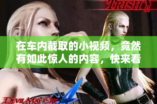 在车内截取的小视频，竟然有如此惊人的内容，快来看看吧