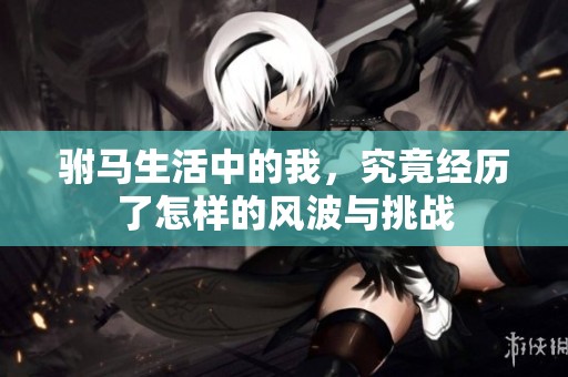 驸马生活中的我，究竟经历了怎样的风波与挑战