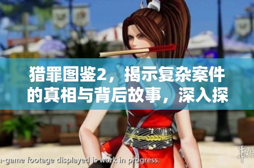 猎罪图鉴2，揭示复杂案件的真相与背后故事，深入探讨侦探的精彩过程