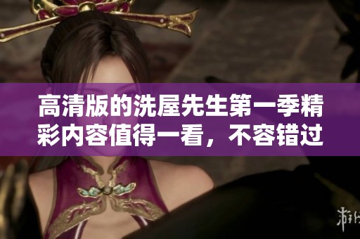 高清版的洗屋先生第一季精彩内容值得一看，不容错过的好剧