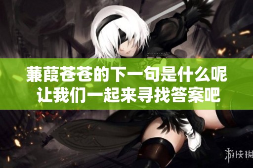 蒹葭苍苍的下一句是什么呢 让我们一起来寻找答案吧