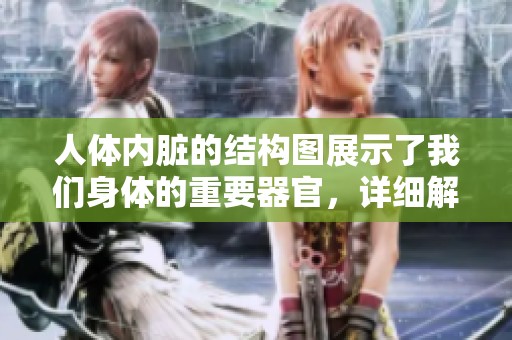 人体内脏的结构图展示了我们身体的重要器官，详细解析其功能与位置