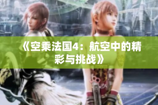 《空乘法国4：航空中的精彩与挑战》