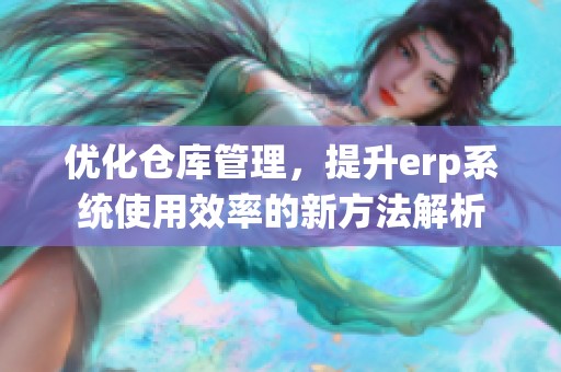 优化仓库管理，提升erp系统使用效率的新方法解析