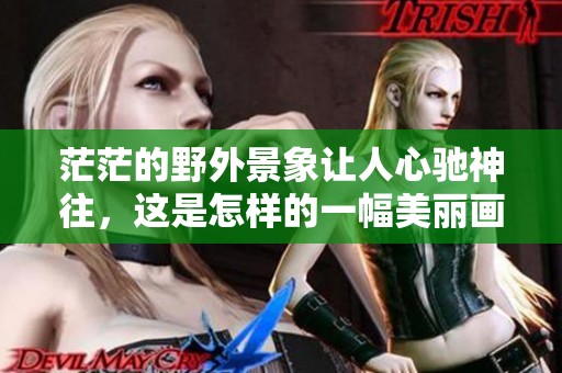 茫茫的野外景象让人心驰神往，这是怎样的一幅美丽画卷呢
