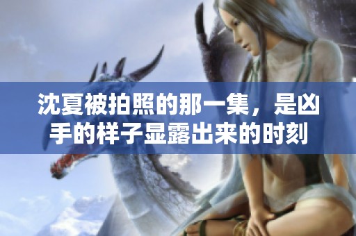 沈夏被拍照的那一集，是凶手的样子显露出来的时刻