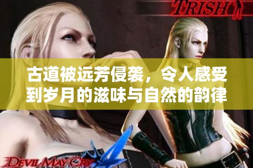 古道被远芳侵袭，令人感受到岁月的滋味与自然的韵律