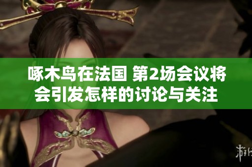 啄木鸟在法国 第2场会议将会引发怎样的讨论与关注