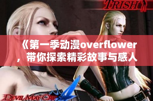 《第一季动漫overflower，带你探索精彩故事与感人心弦的冒险旅程》