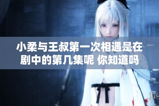 小柔与王叔第一次相遇是在剧中的第几集呢 你知道吗