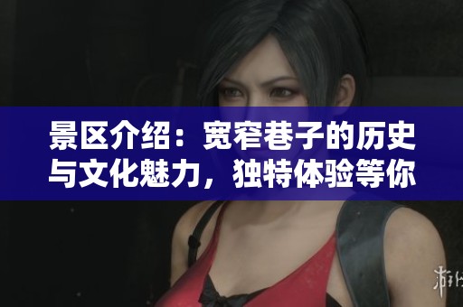 景区介绍：宽窄巷子的历史与文化魅力，独特体验等你来探索