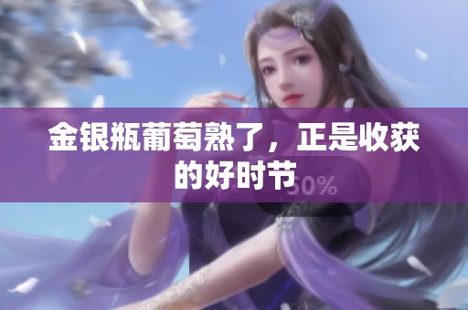 金银瓶葡萄熟了，正是收获的好时节