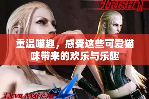 重温喵趣，感受这些可爱猫咪带来的欢乐与乐趣