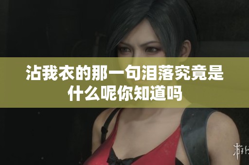 沾我衣的那一句泪落究竟是什么呢你知道吗