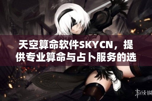 天空算命软件SKYCN，提供专业算命与占卜服务的选择