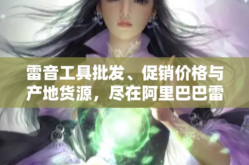 雷音工具批发、促销价格与产地货源，尽在阿里巴巴雷音工具专区