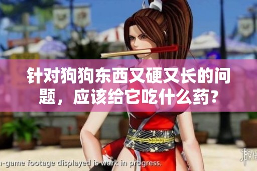针对狗狗东西又硬又长的问题，应该给它吃什么药？