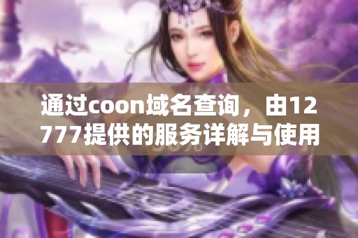 通过coon域名查询，由12777提供的服务详解与使用方法