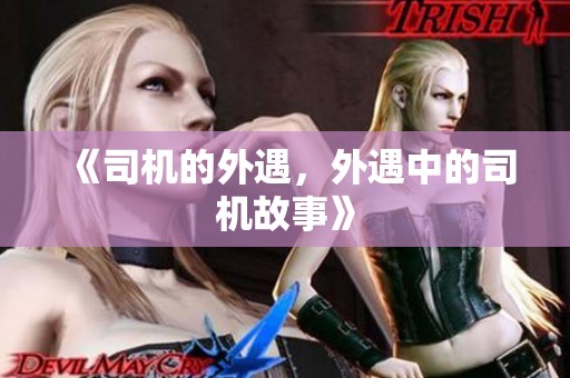《司机的外遇，外遇中的司机故事》