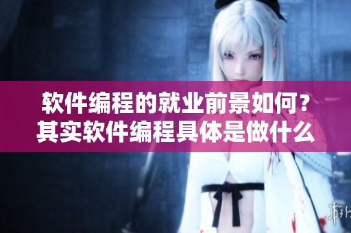 软件编程的就业前景如何？其实软件编程具体是做什么的呢