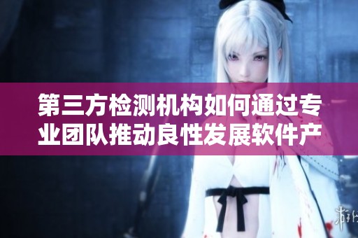 第三方检测机构如何通过专业团队推动良性发展软件产业？探索其关键作用与影响。