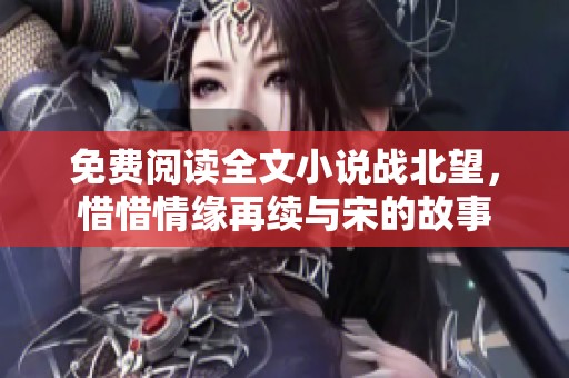 免费阅读全文小说战北望，惜惜情缘再续与宋的故事
