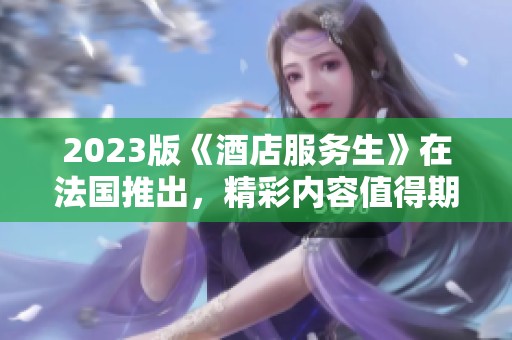 2023版《酒店服务生》在法国推出，精彩内容值得期待和关注