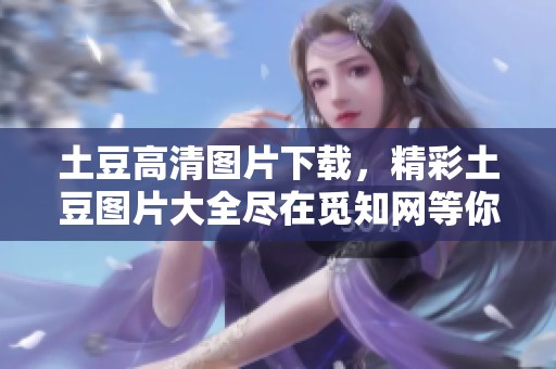 土豆高清图片下载，精彩土豆图片大全尽在觅知网等你体验