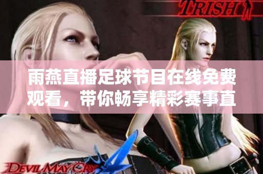雨燕直播足球节目在线免费观看，带你畅享精彩赛事直播