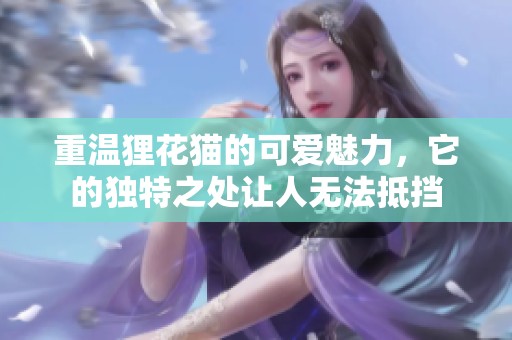 重温狸花猫的可爱魅力，它的独特之处让人无法抵挡