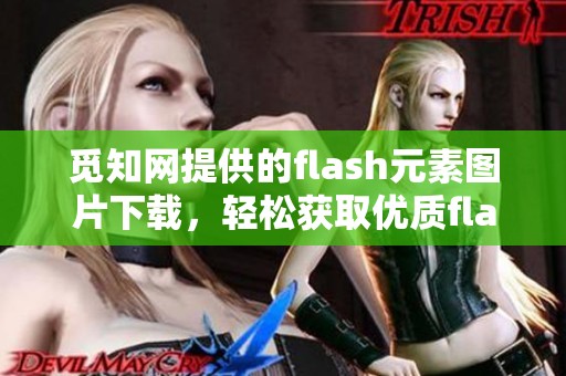 觅知网提供的flash元素图片下载，轻松获取优质flash素材的方法