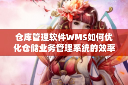 仓库管理软件WMS如何优化仓储业务管理系统的效率与效果