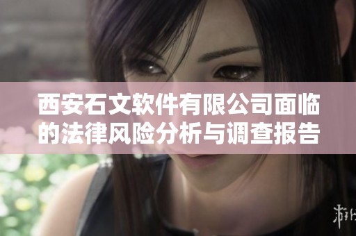 西安石文软件有限公司面临的法律风险分析与调查报告详解