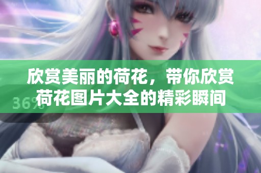 欣赏美丽的荷花，带你欣赏荷花图片大全的精彩瞬间