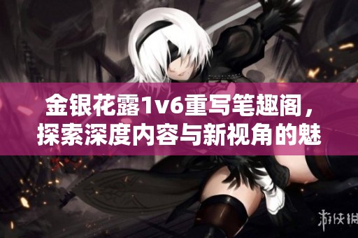 金银花露1v6重写笔趣阁，探索深度内容与新视角的魅力