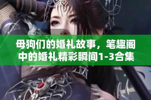 母狗们的婚礼故事，笔趣阁中的婚礼精彩瞬间1-3合集