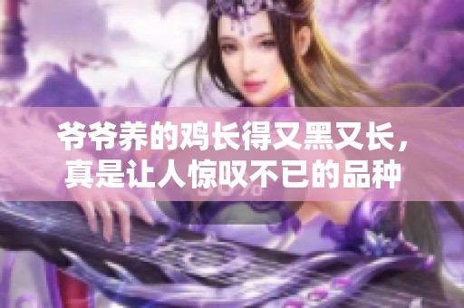爷爷养的鸡长得又黑又长，真是让人惊叹不已的品种